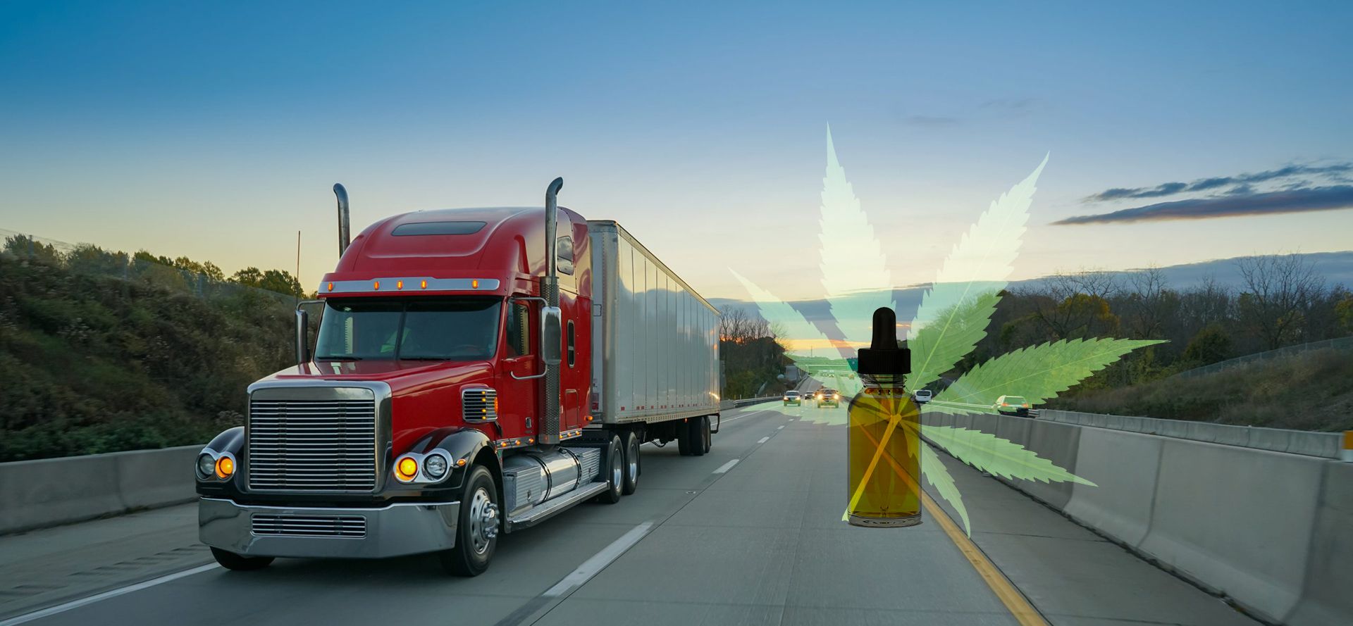 Truck Drivers And CBD Oil.
